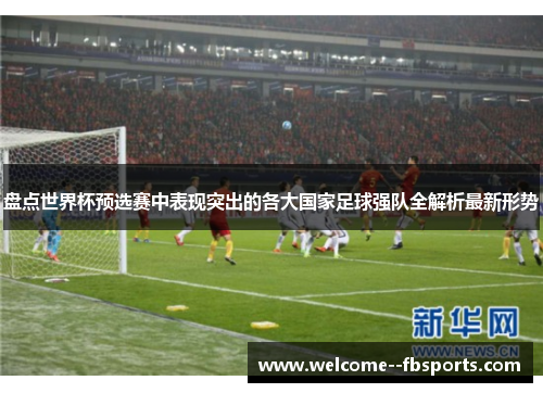 盘点世界杯预选赛中表现突出的各大国家足球强队全解析最新形势