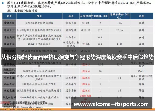 从积分榜起伏看西甲格局演变与争冠形势深度解读赛季中后段趋势